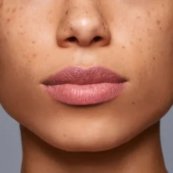 Shiseido Lipliner InkDuo